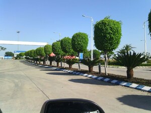  Plot – Garden View at Mangaliya Sadak - for Sale