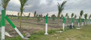  Plot For Sale in Kilpauk