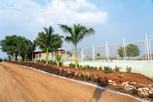 Plot Area in  Land at Wasar – for Sale
