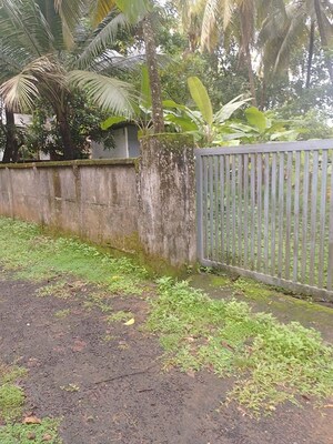 Plot Area in  Plot at Peringavu – for Sale