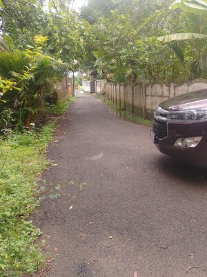 Plot Area in  Plot at Peringavu – for Sale