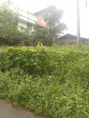  Plot For Sale in Thiroor
