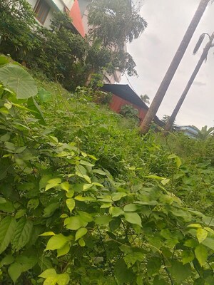 Plot Area in  Plot at Thiroor – for Sale