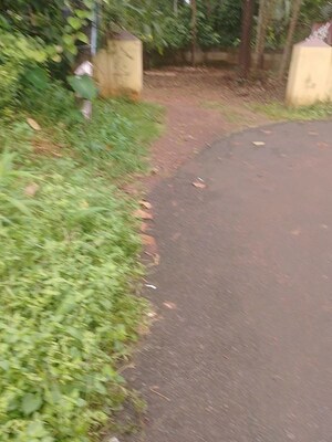 Plot Area in  Plot at Thiroor – for Sale