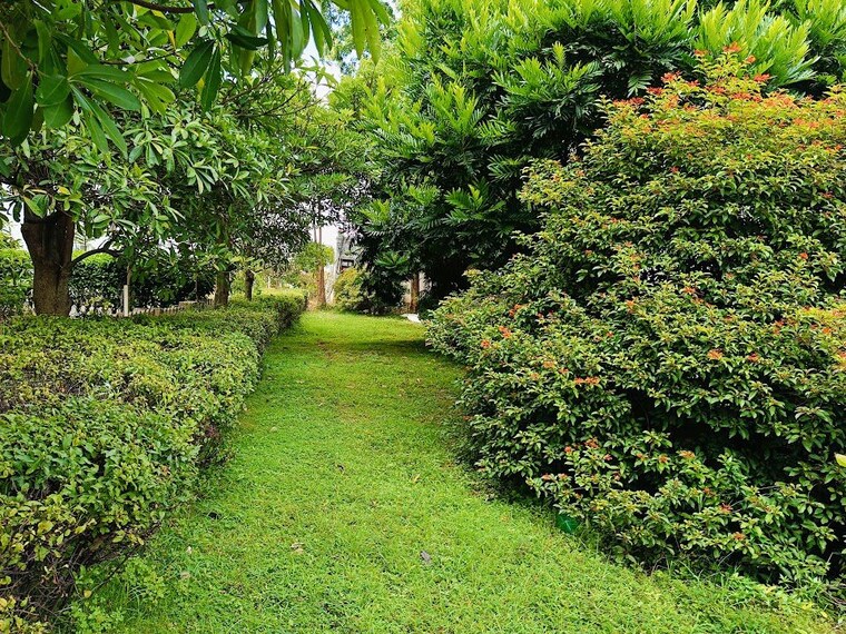 Garden, century-wintersun 4 Bedroom 4500 Sq.Ft. Villa In Doddaballapur Road Bangalore 10485239