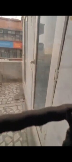 Building Lobby in  Office Space at Netaji Subhash Place – for Rent