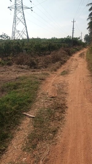  Plot For Sale in Bychapura