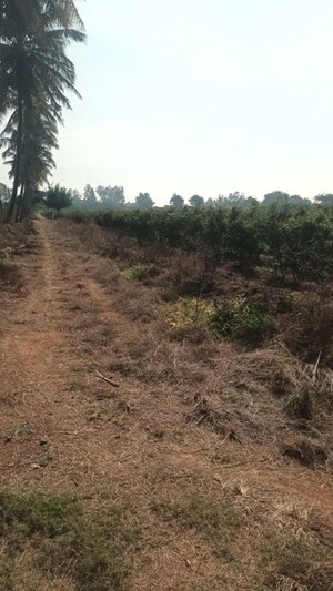 Plot Area in  Plot at Bychapura – for Sale