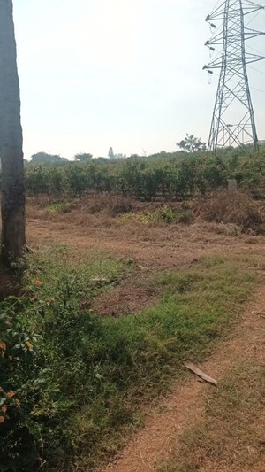 Plot Area in  Plot at Bychapura – for Sale
