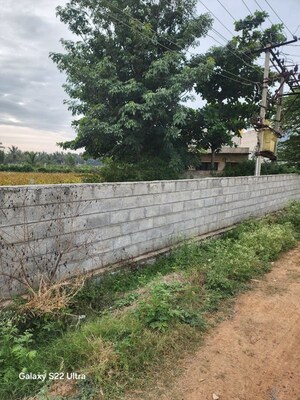 Plot Area in  Plot at Hosahalli – for Sale