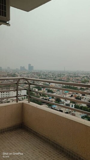 3 BHK Apartment For Rent in Wave Amore, Sector 32