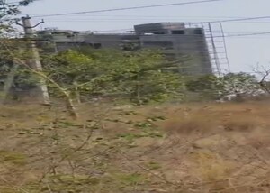 Plot For Sale in Shankarpalli