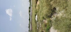 Plot For Sale in Pachgain Khera