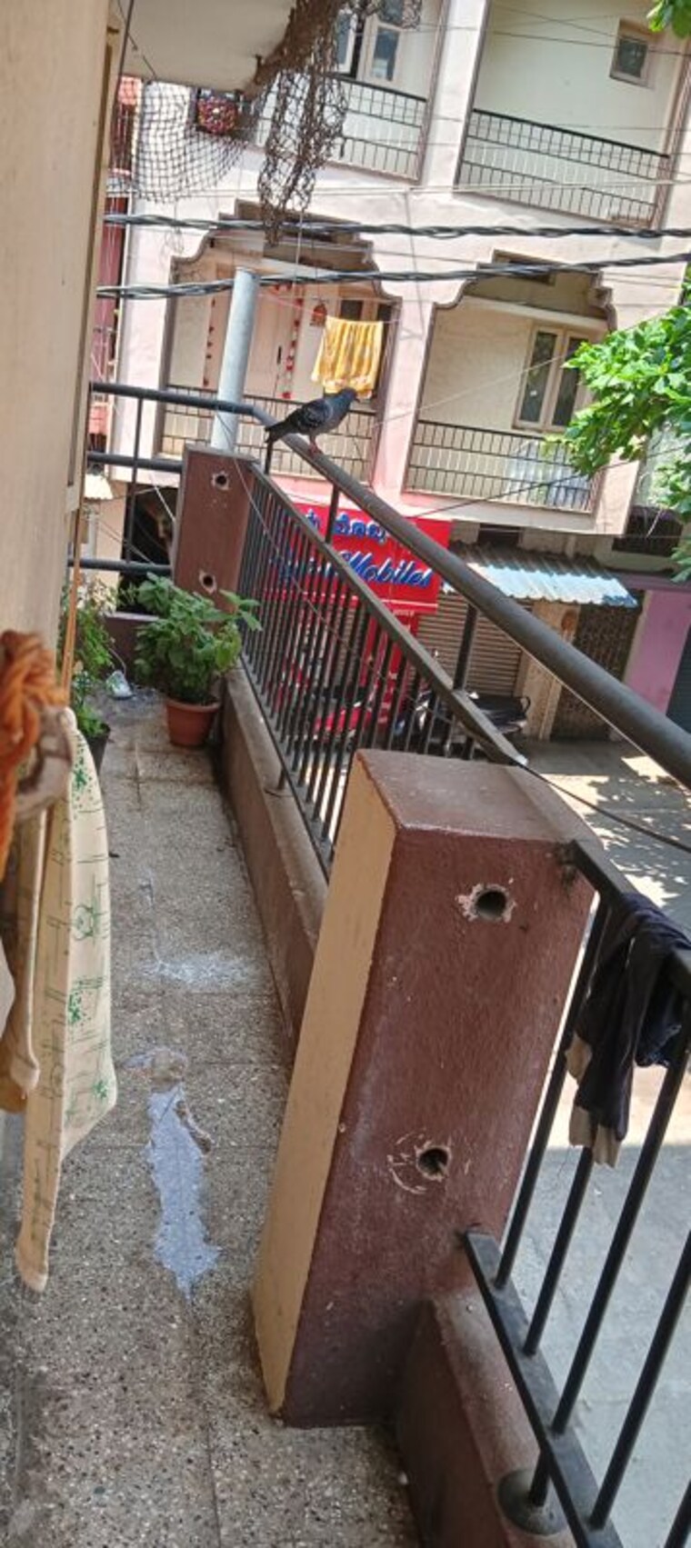 Balcony, btm layout stage 2 1 Bedroom 750 Sq.Ft. Builder Floor In Btm Layout Stage 2 Bangalore 10485625