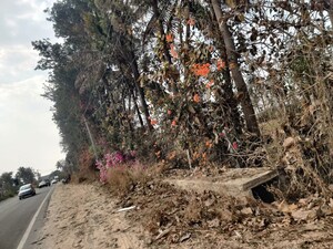  Plot For Sale in Budigere
