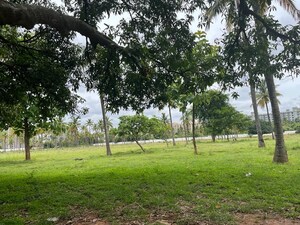 Plot Area in  Plot at Rayasandra – for Sale