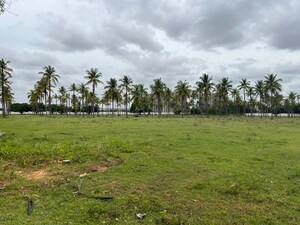 Plot Area in  Plot at Rayasandra – for Sale