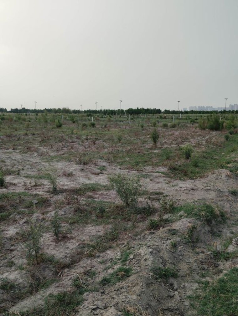 undefined, upsidc site b  1008 Sq.Yd. Plot In Upsidc Site B Greater Noida 10485751