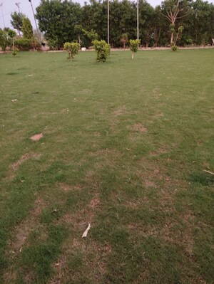  Plot – Garden View at Tech Zone Greater Noida - for Sale