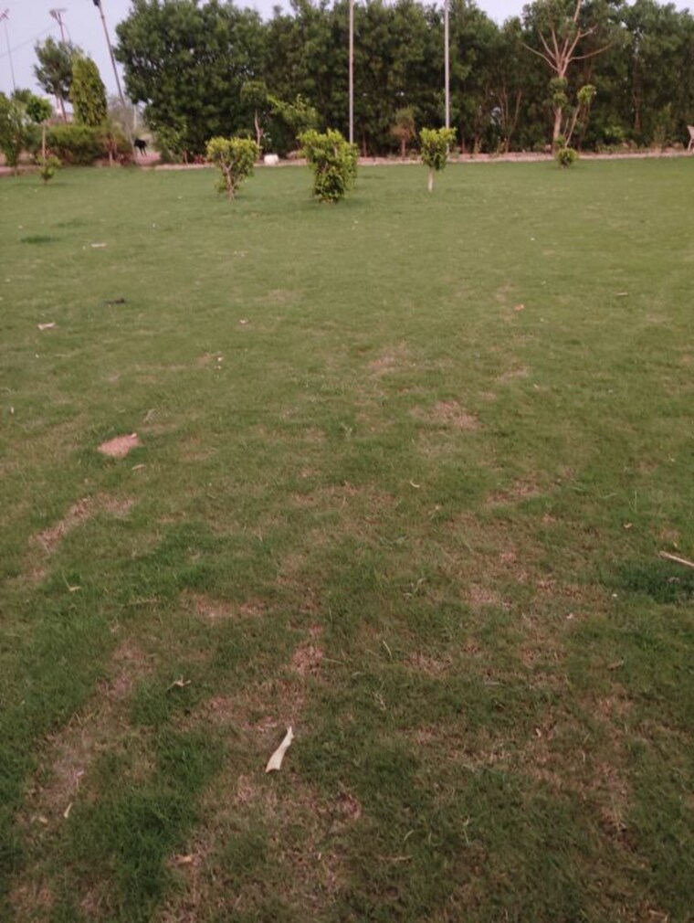 Garden, tech zone greater noida  1008 Sq.Mt. Plot In Tech Zone Greater Noida Greater Noida 10485803