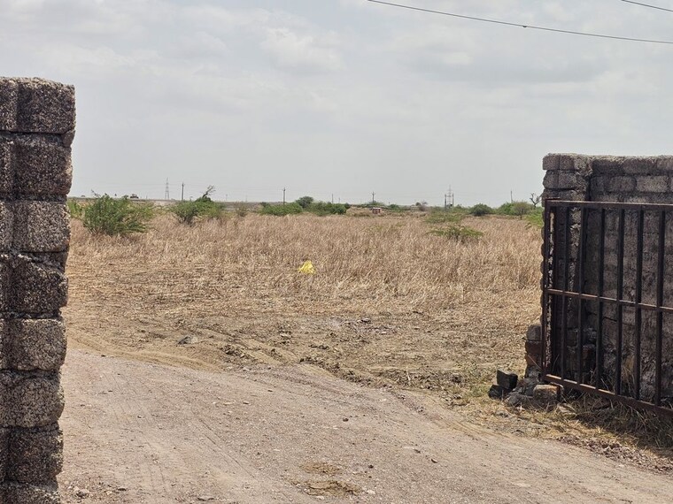 undefined, dholera  1125 Sq.Ft. Plot In Dholera Ahmedabad 10486091
