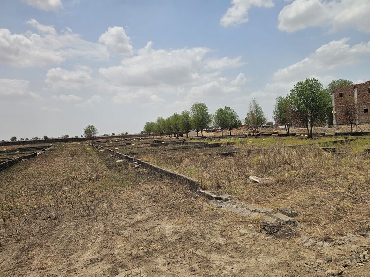 undefined, dholera  1125 Sq.Ft. Plot In Dholera Ahmedabad 10486091