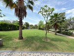 300 Sq.Yd. Plot in Omaxe New Chandigarh