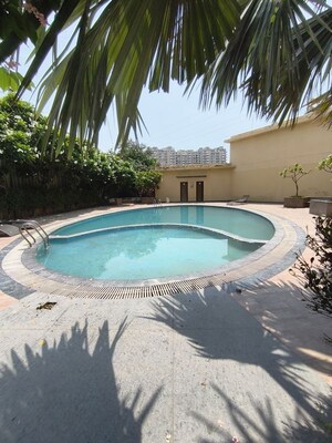 Swimming Pool in 3 BHK Apartment at Sushma Grande Nxt, Lohgarh – for Rent