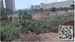 101277 Sq.Ft. Plot in Kharghar