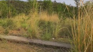  Plot For Sale in Bantalab
