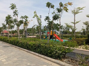 3 BHK Builder Floor – Exterior View View at Sector 36 - for Sale