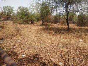  Plot For Sale in Shela