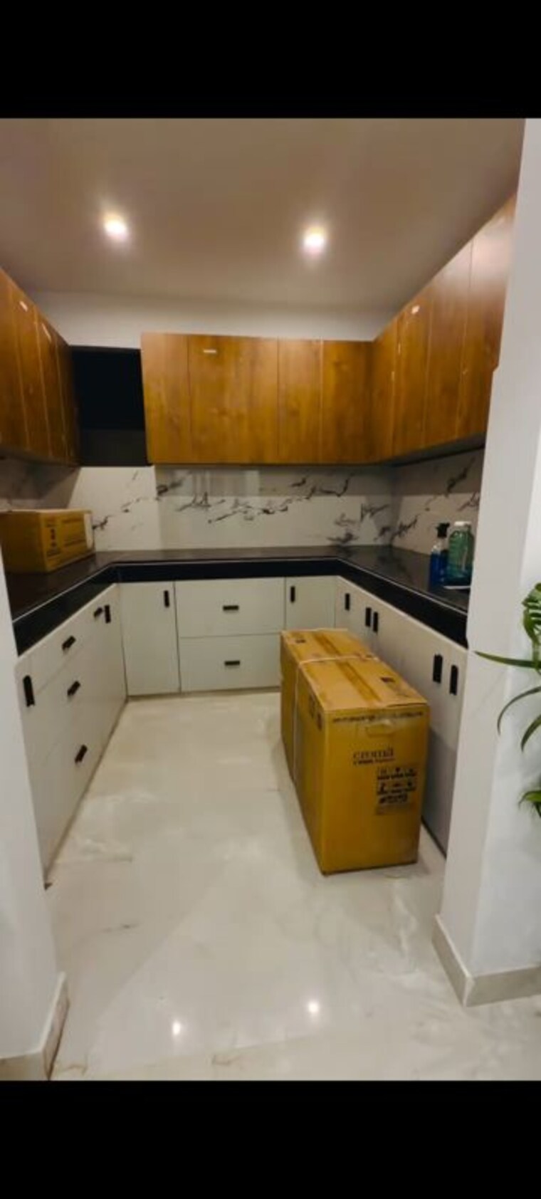 Kitchen, krishna-cocus-homes 2 Bedroom 100 Sq.Yd. Apartment In Sector 110 Noida 10486579