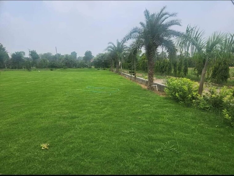 Garden, sohna Commercial Land 2 Acre In Sohna Gurgaon 10486774