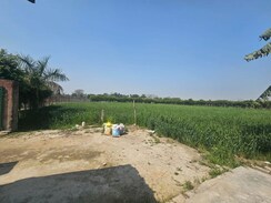 Plot For Sale in Sector 135