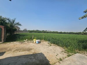  Plot For Sale in Sector 135