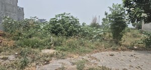 Plot Area in  Plot at Mullanpur – for Sale