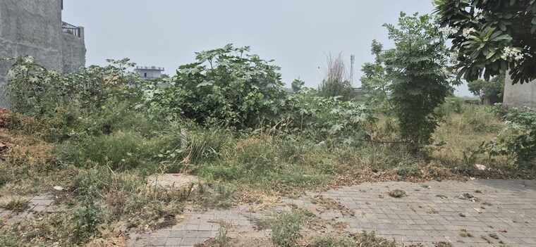 undefined, mullanpur  241 Sq.Ft. Plot In Mullanpur Mohali 10486983