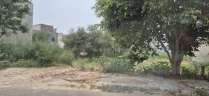 Plot Area in  Plot at Mullanpur – for Sale