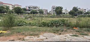 Plot Area in  Plot at Mullanpur – for Sale