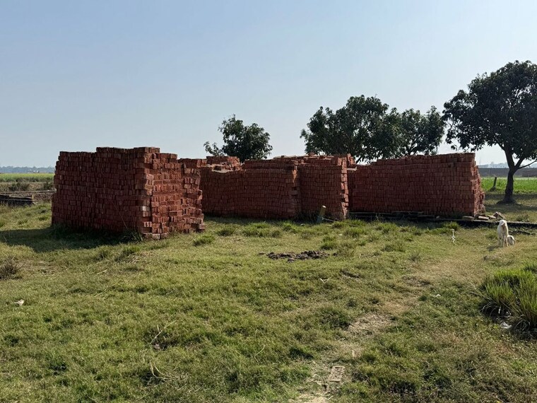 undefined, basdeopur  2550 Sq.Ft. Plot In Basdeopur Darbhanga 10487090