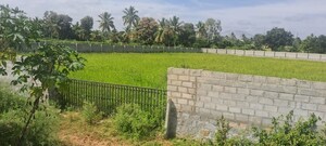 Plot Area in  Plot at Devasandra Lake – for Sale