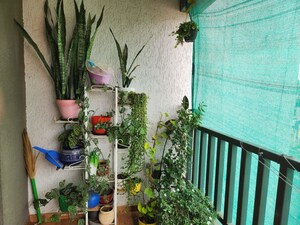 Balcony in 2 BHK Apartment at Mont Vert Sonnet, Wakad – for Rent