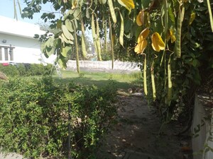  Plot – Garden View at Sector 1 Wave City - for Sale