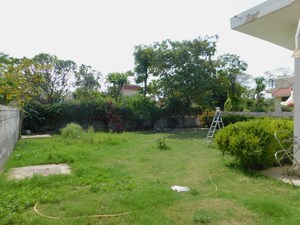  Plot For Sale in Sector 1 Wave City