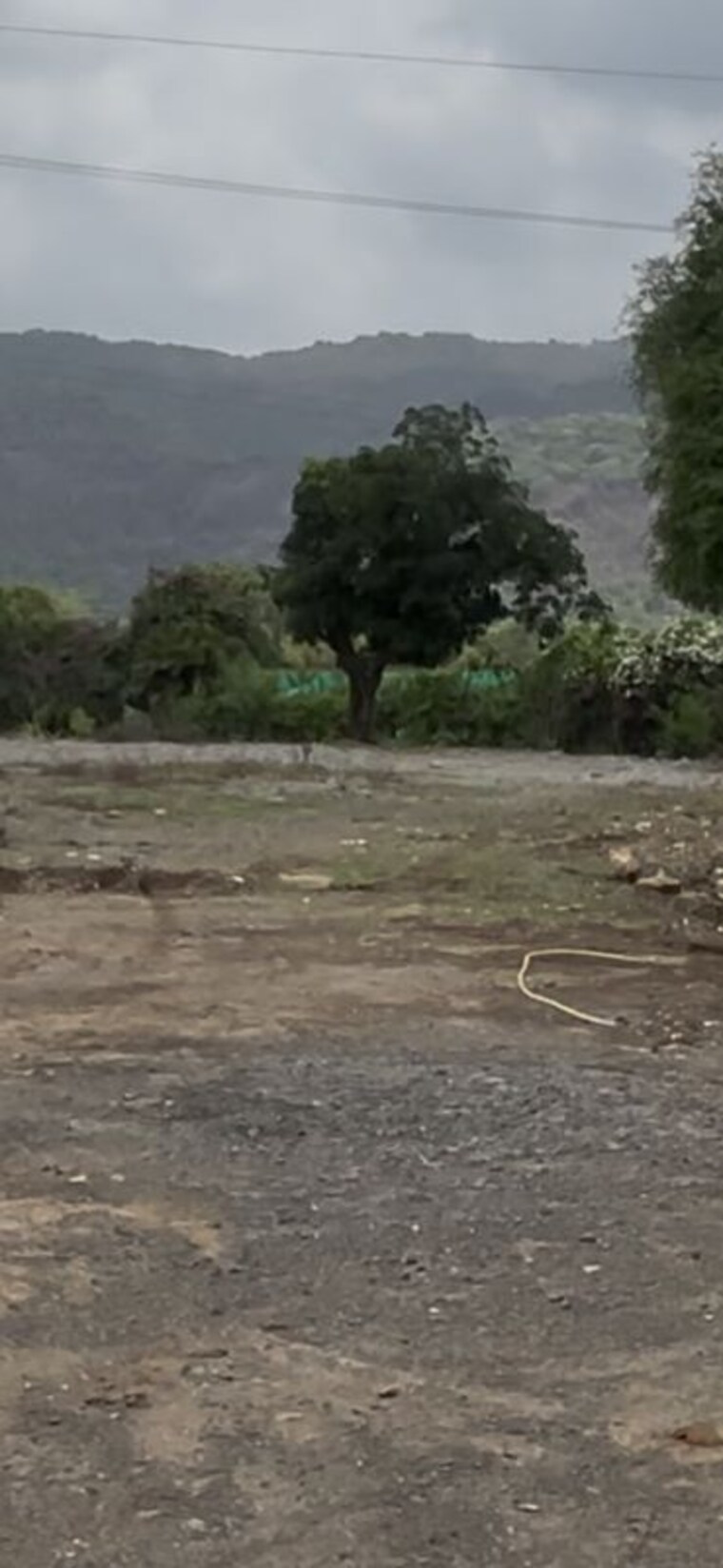 undefined, palaspe phata  3000 Sq.Yd. Plot In Palaspe Phata Navi Mumbai 10487728