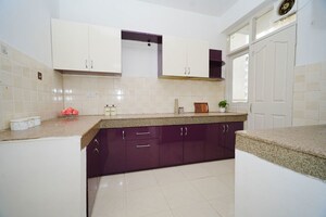 Kitchen in 3 BHK Apartment at Tulip Orange, Sector 70 – for Sale
