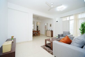 Living Room in 3 BHK Apartment at Tulip Orange, Sector 70 – for Sale