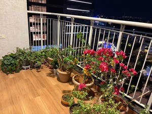 Balcony in 4 BHK Apartment at L&T Raintree Boulevard, Hebbal – for Rent