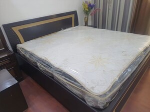 2 BHK Builder Floor For Rent in Geeta Colony